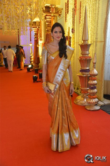 Celebs-At-Nimmagadda-Prasads-Daughter-Wedding